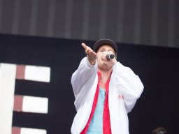 Festivals - 2013 - taubertal_festival_291 - irie_revoltes_310