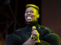taubertalfestival2013_skunkanansie_20130810_shmh_13_von_48_20220425_1685674483
