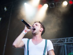 taubertalfestival2013_skylinegreen_20130810_shmh_18_von_31_20220425_1046054983
