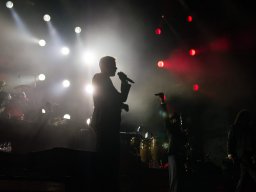 taubertalfestival_seeed_2014108_smh-13_20220424_1493253103
