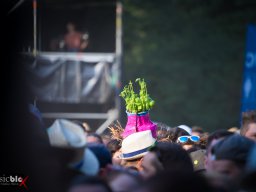 Festivals - 2022 - 2022_420 - taubertal_festival_421 - das_lumpenpack_441