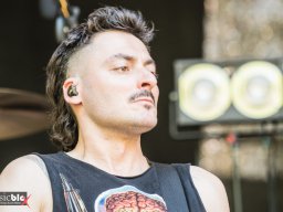 Festivals - 2023 - 2023_462 - taubertal_festival_463 - deine_cousine_464