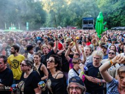 Festivals - 2024 - 2024_489 - taubertal_festival_490 - talco_503